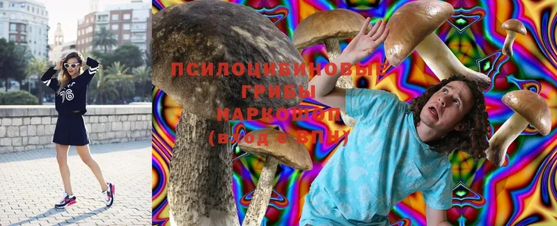 Псилоцибиновые грибы Magic Shrooms  Тосно 